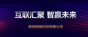 “互聯(lián)聚匯，智贏未來” 2019焦作青峰全網(wǎng)合作峰會(huì)***成功！